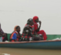 Immersion au Fleuve du Sénégal: A la découverte des activités, du franc CFA à l'Ougouya mauritanien Immersion au Fleuve du Sénégal: A la découverte des activités, du franc CFA à l'Ougouya mauritanien