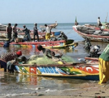Déblocage des licences de pêche : Des remous en vue dans le secteur