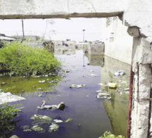 Victimes des inondations du quartier Thierno Kandji à Diourbel : Serigne Makhtar Ndiaye alerte l’État sur les menaces d’effondrement des maisons