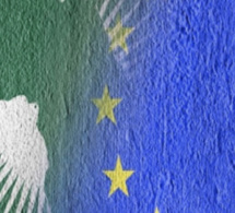 Détérioration du partenariat Afrique-Europe : Les raisons du désamour, selon un nouveau rapport