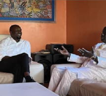 Arène politique : Le PDS mobilise ses troupes, Ousmane Sonko et Malick Gackou en concertation