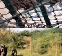 Fass Ridwane (Kaolack): Le crocodile a été finalement capturé