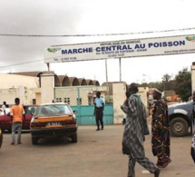 Marché central au poisson : Révolte des travailleurs contre Pape Sagna Mbaye, qui a débarqué le Dg Kadialy Gassama