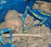 Suede: Des squelettes en kit dans des sacs Ikea