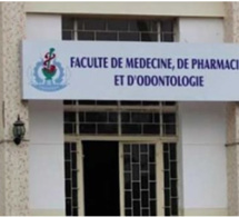 Concours 2022 du Cames: Le Département de chirurgie et spécialités chirurgicales de la Fmpos de l’Ucad, décroche 11 agrégations