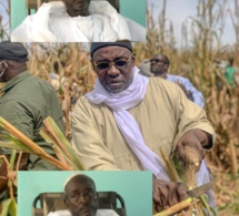 Serigne cheikh Saliou MBACKÉ l'infatigable Bâtisseur des mosquées : le village de Lagane s'en réjouit