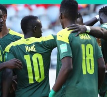 Coupe du Monde 2022 : L’identité de l’arbitre du choc Sénégal – Hollande connue