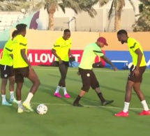 CM Qatar 2022: Première séance d’entraînement des lions du Sénégal en vue du match contre le Qatar