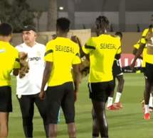 Après la victoire sur Qatar les lions en séance d'entraînement pour la qualification face à Equateur