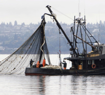 Subventions de la pêche: L’accord en gestation de l’Omc exposé