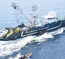 Les Marins français saisissent plus de 4 tonnes de cocaïne au large du Sénégal