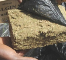 Chanvre indien : Un Bissau-guinéen arrêté avec 20 plants et 88 cornets à Tivaoune Peulh