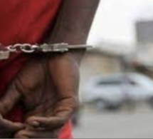 Arnaque sur Internet: Un Togolais gruge plus de 200 Sénégalais à hauteur de 700 millions FCfa ! Arnaque sur Internet: Un Togolais gruge plus de 200 Sénégalais à hauteur de 700 millions FCfa !