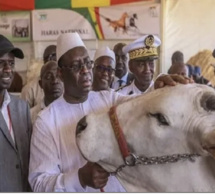 Journée nationale de l’élevage : Macky Sall préside la huitième édition célébrée à Tambacounda ce 29 décembre 2022
