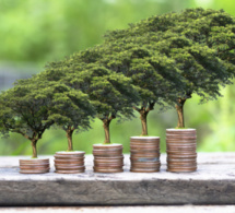 Economie : Sénégal, Niger, RDC &amp; Rwanda, le trio moteur de la croissance en 2023 (FMI)