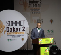 Le président Adesina lors du sommet Dakar 2 : «L’Afrique peut et doit se nourrir par elle-même »