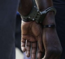 Trafic de drogue : deux guinéens interpellés en possession de 2,5 kg de chanvre indien
