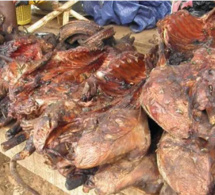 Tambacounda : Un homme arrêté en possession de viande de singe et de chacal