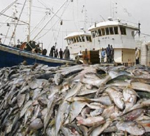 Alerte du Gaipes : « le secteur de la pêche se porte très mal », Adama Lam