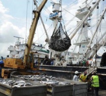 Afrique de l’Ouest : le Maroc aidera 3 pays à réaliser une évaluation de leurs ressources halieutiques
