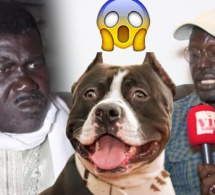URGENT: Balla Diouf recadre Khadim Ndiaye et le traite d'impolie "amoul ben respect ci mbeur yi"