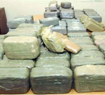 Trafic international de drogue: 2 beaux-frères interceptés avec 174 kg de « yamba »