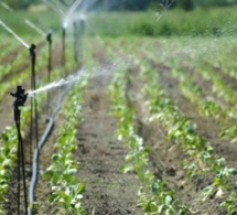 Accès à l’eau : Fida plaide pour des investissements en faveur des exploitations familiales