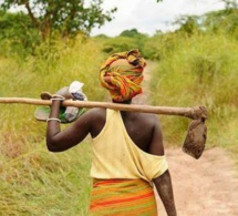 En Afrique, l’agriculture régénératrice peut représenter une valeur ajoutée brute de 70 milliards $ par an d’ici 2040