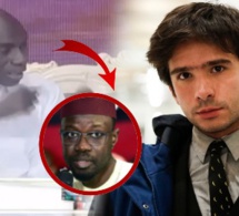 Affaires Juan Branco, Omar Faye tacle sévèrement les "Pastefiens" 'loulene arranger rk laniouy wax
