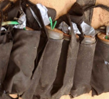 Bakel : 3 Maliens arrêtés avec 200 bâtons d’explosifs et 80 détonateurs
