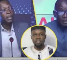 Réactions Mansour Diop, Birahim Touré: Différend entre Sonko et Barth  listent les erreurs de Yewi