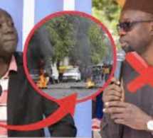 Bamba Sall Sentv tacle l'attitude de Sonko « il s’est réfugié a Ziguinchor loumou fay def il vient de mettre…»