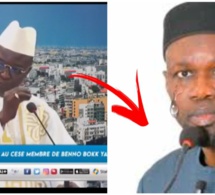 Serigne Modou MBACKE Bara Dolli tacle sévèrement Sonko "moofi indi v!olence bifi am leegui