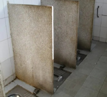 Pikine, Guédiawaye et Keur Massar en échantillon : Une étude de la FSH révèle les incommodités des toilettes des services publics