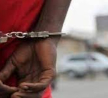 Bureau des passeports : un homme arrêté avec le registre des naissances de la ville de Touba