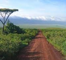 L’Afrique doit repenser la gestion de ses ressources naturelles pour éviter des conséquences socioéconomiques négatives (experts)