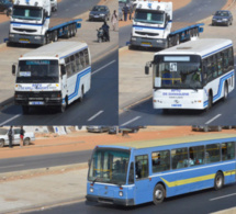 Sénégal : Hausse du chiffre d’affaires des services de transport et d’entreposage