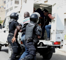 Escroquerie en bande organisée et trafic de migrants : neuf Guinéens entre désespoir et la rage