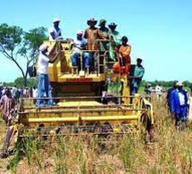 Diourbel, les caractéristiques d’une agriculture en régression.Par P B Moussa Kanté,  Chercheur UGB et stagiaire DRDR (direction régionale du développement rural) de Diourbel