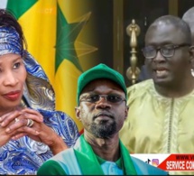 Ayib Daffé à Aissata Tall Sall 'nous ne sommes pas demandeur de cette amnistie ...'