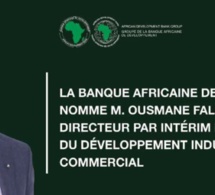 Banque africaine de développement : Ousmane Fall nommé directeur par intérim du Département du développement industriel et commercial