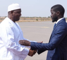 Visite du président Bassirou Diomaye Faye en Gambie : De fortes attentes sur la sécurité, la paix en Casamance, le trafic de bois et des drogues