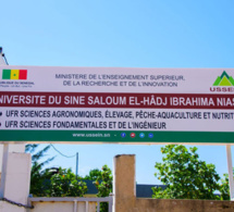 Université El hadji Ibrahima Niass de Kaolack : La colère des étudiants en Machinisme de l’Ussein