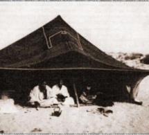 Cheikh Hamallah, un distingué guide de la Tidjaniya