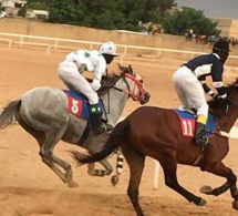 Mécène au secours de l’Hippisme sénégalais: Dr Oumar Bao offre des box de départ neufs !!!