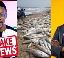 A. J-Tange révèle le fake News de vidéos pour démontrer l'efficacité de "l'annulation des accords