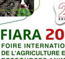 FIARA 2024 : Le ministre de l’Agriculture magnifie le savoir-faire sénégalais