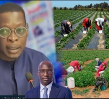 Birahim Toure réagit sur l'endettement de l'État envers les agriculteurs-un renversement de la norme..