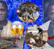 Arene bi- Arrestation Lac de guerre révélation choc de Ibou Dabo et Alune Mbaye-sacrifice Mystique"