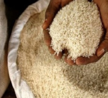 Saint-Louis -Dr Robert Gouantoueu Gueï, FAO : «Le Sénégal a dépensé 347 milliards FCFA dans les importations du riz en 2022 …»
